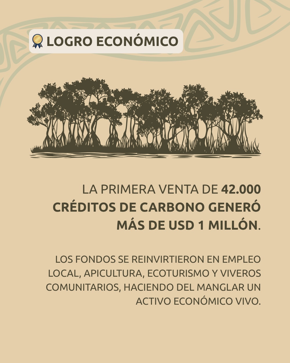 Slide 5 infografía 3